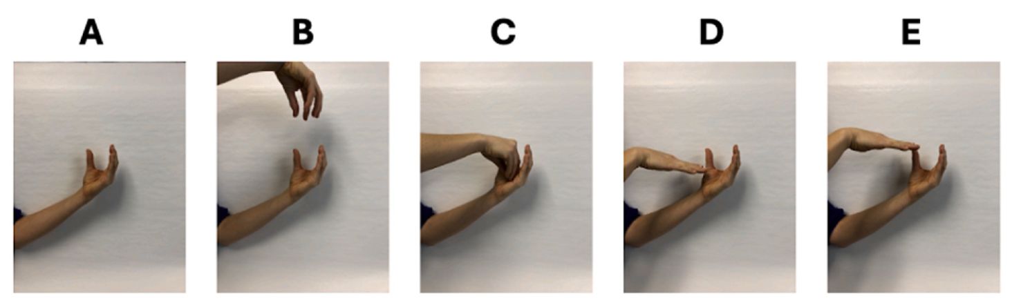 Figure 3 in Gagnier et al.(2026)